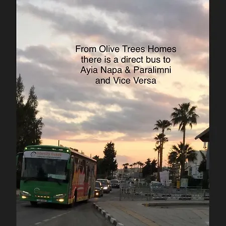 Olive Trees Homes *